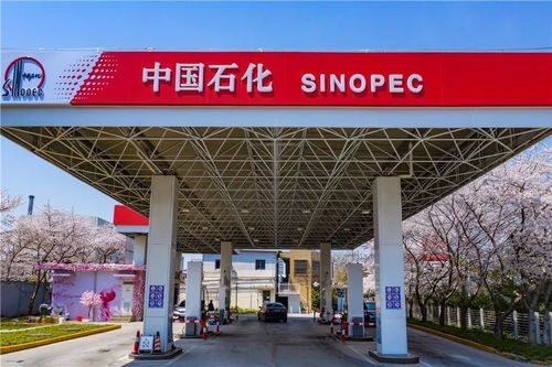中國(guó)石化37周年慶 在能源領(lǐng)域譜寫(xiě)華章，租賃市場(chǎng)見(jiàn)證發(fā)展足跡